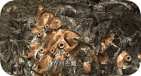 传奇私服发布站