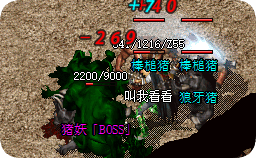 新开传奇