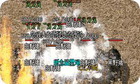 最新传奇私服发布网