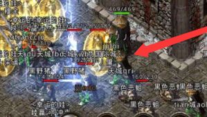 传奇私服发布网